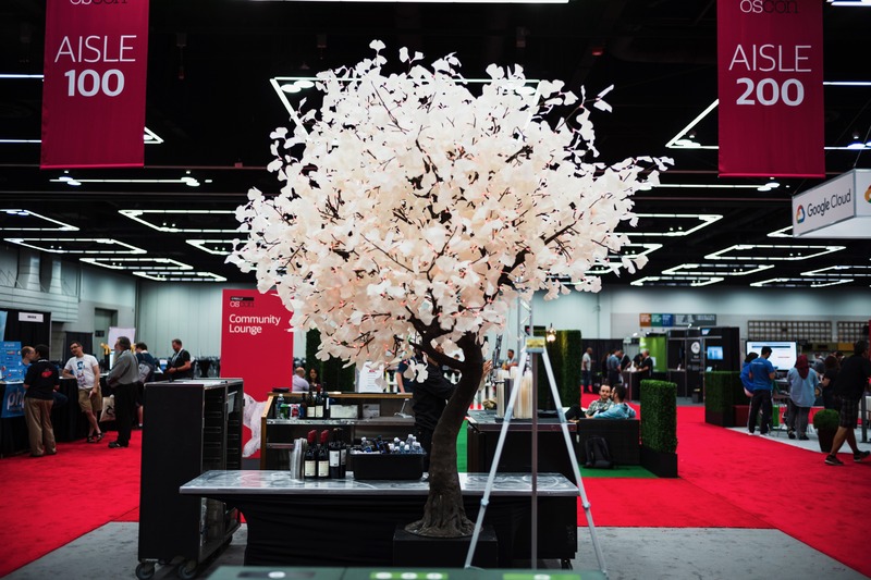 Delicate Blossom in a Busy Space