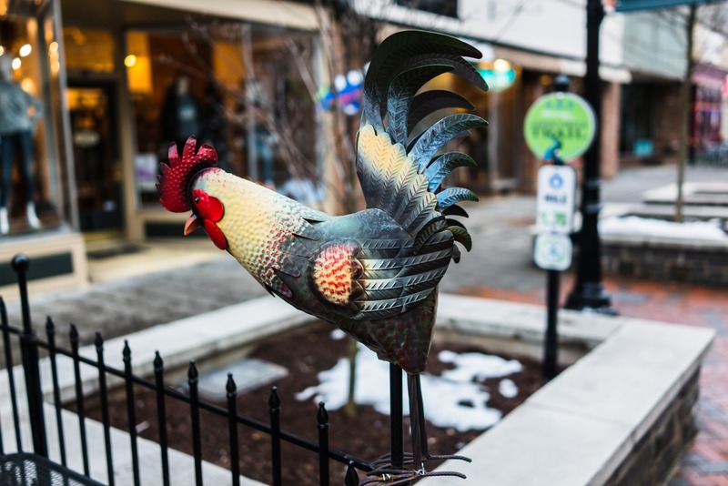 Whimsical Metal Rooster