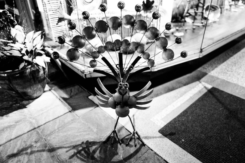 Metallic Peacock Display