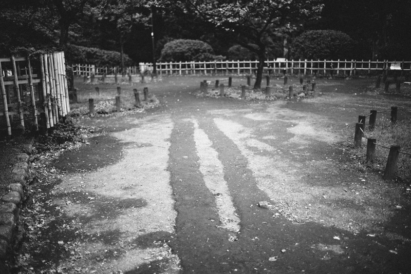 Quiet Paths in Monochrome