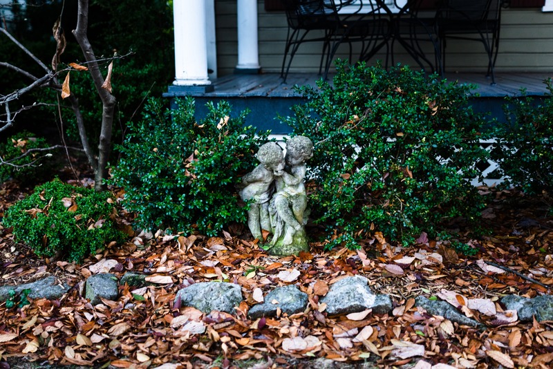 Whispers Among Leaves