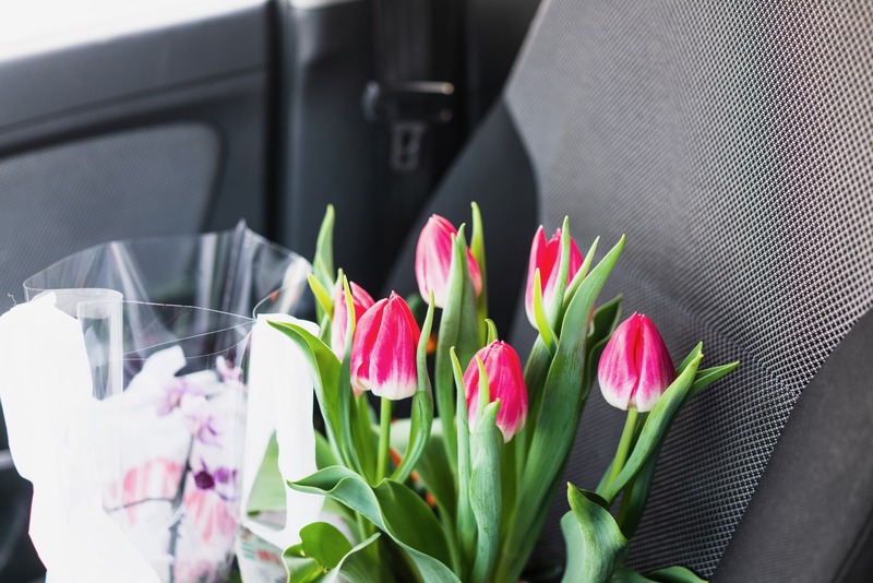 Quiet Beauty in Transit