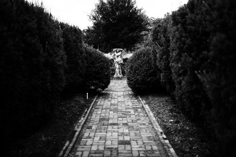 Whispers of the Garden