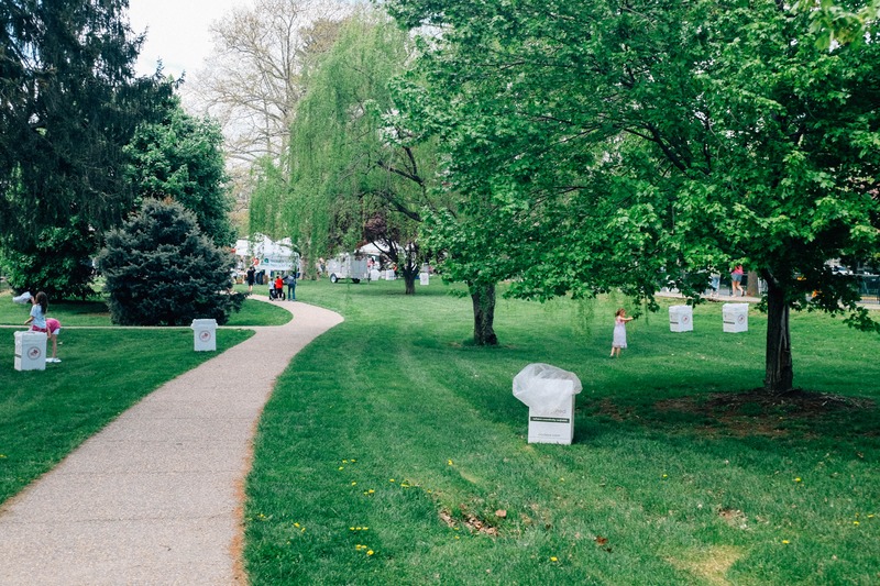 Whispers of Nature's Green