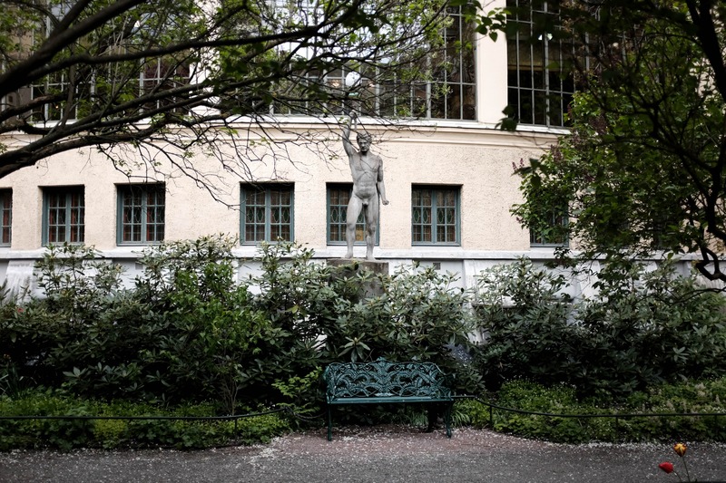 Silent Watcher in the Garden