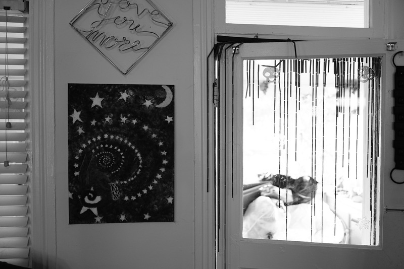 Whispers of Light and Shadow