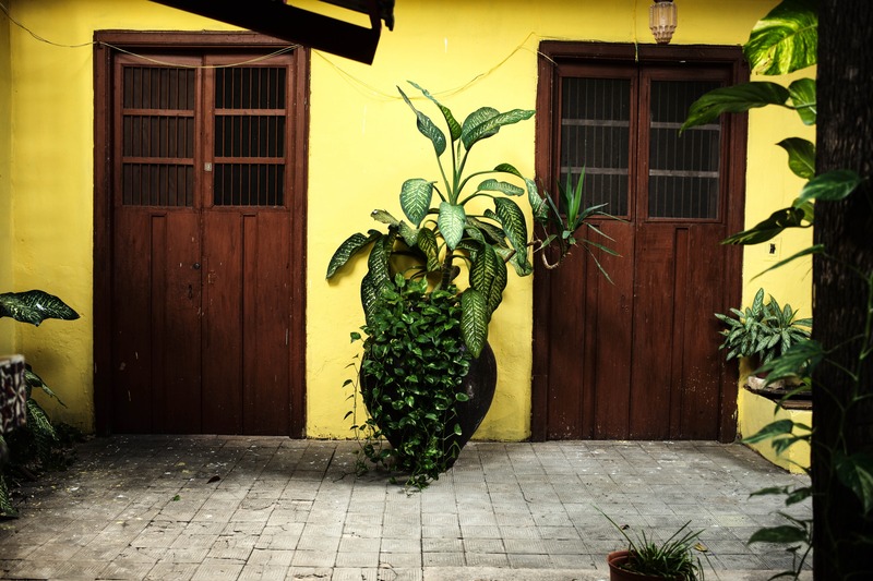 Vibrant Yellow Courtyard