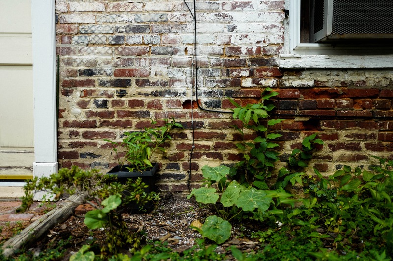 Nature's Persistence