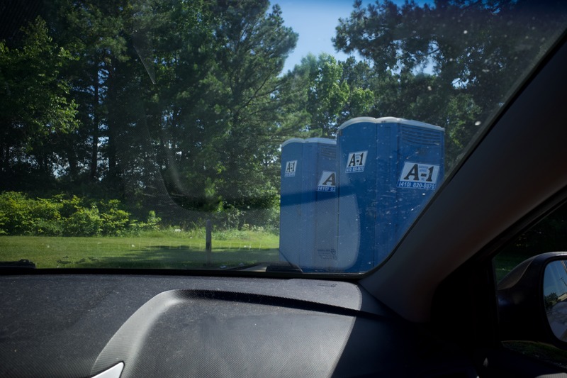 Contrasting Blues and Greens