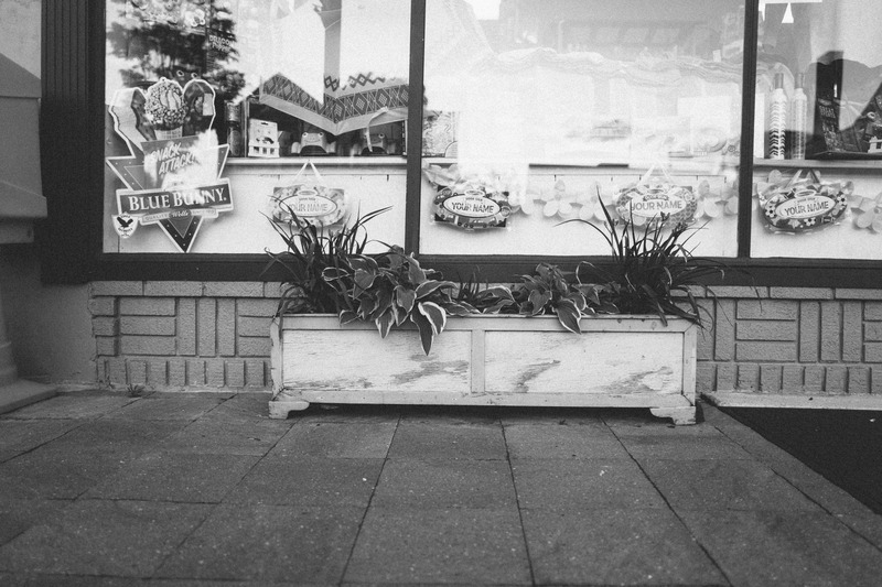 Plant Life by a Shop Window