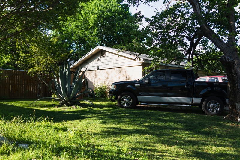 Quiet Backyard Serenity
