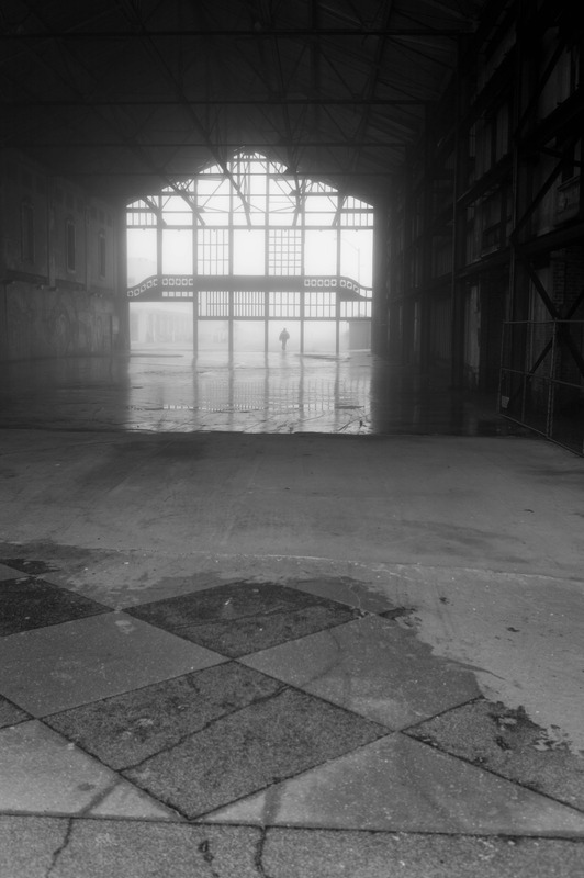 Lonely Walk in the Fog