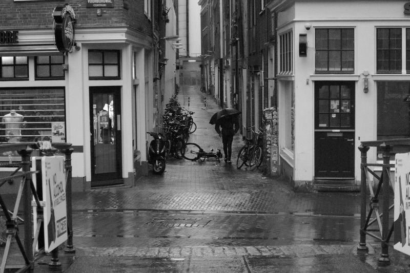 Rainy Alleyway Serenity