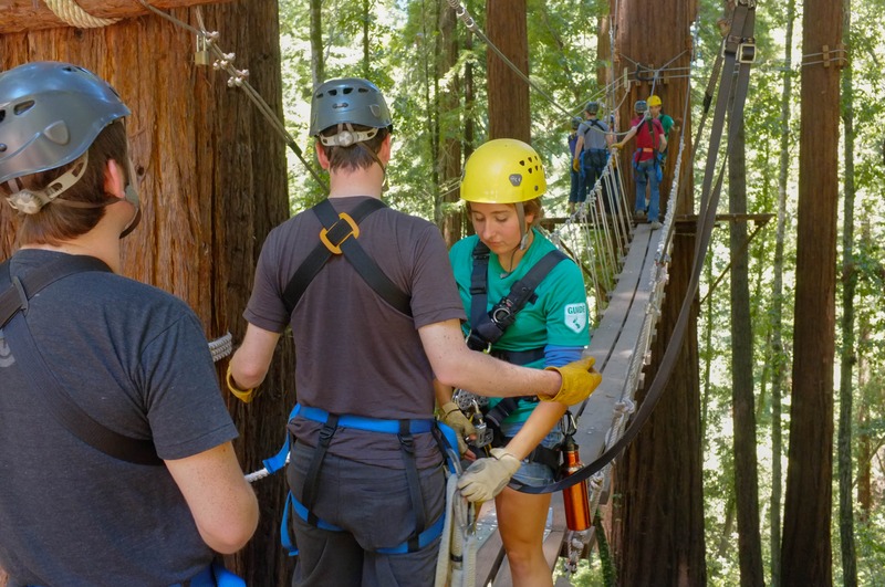 Adventures Above the Canopy