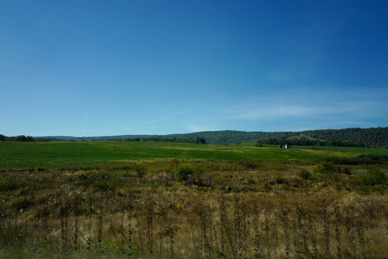 Serene Autumn Landscape