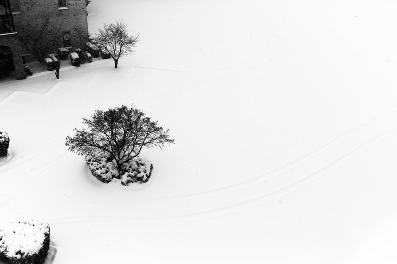 Silent Snowy Serenity