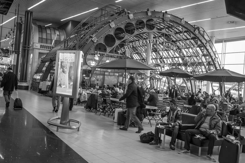 Urban Oasis in Monochrome