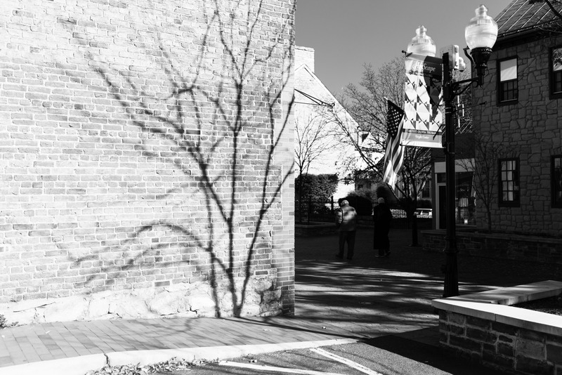 Shadows of Stillness