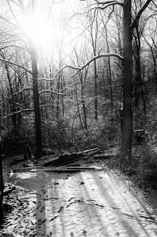 Whispers of Winter Light