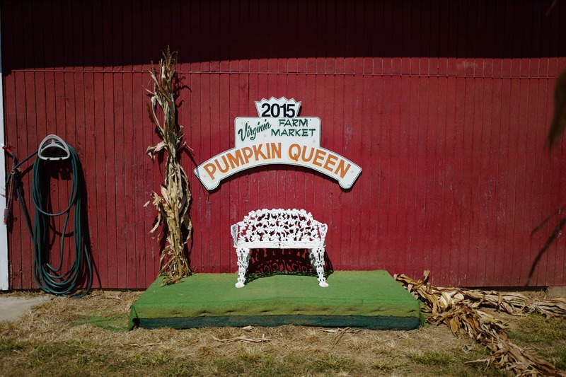 Pumpkin Queen's Sanctuary