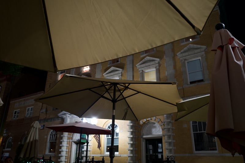 Night beneath the Canopy