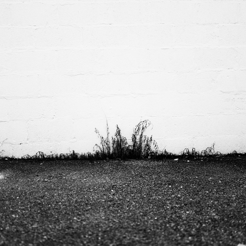 Life Against the Wall