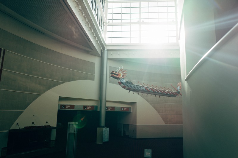 Serene Dragon in Light