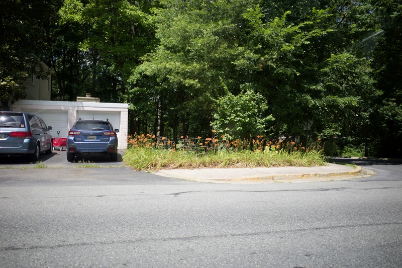Serene Summer Intersection