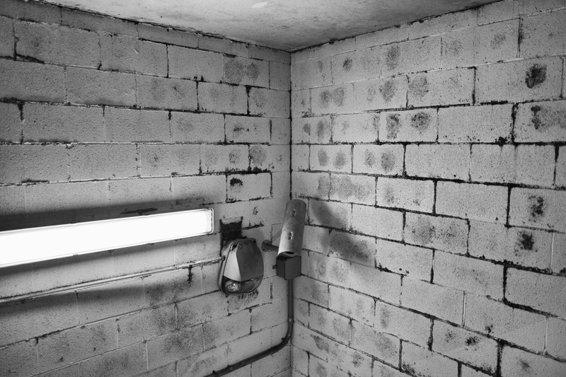 Shadows of Abandonment