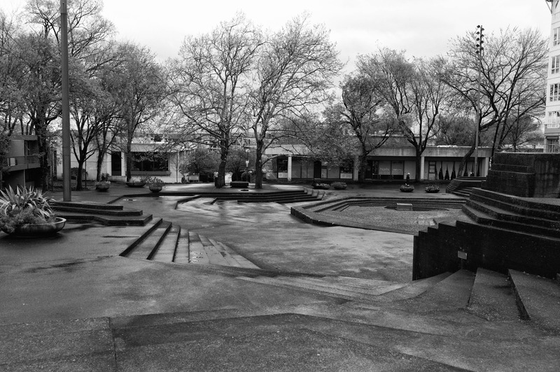 Urban Serenity in Monochrome