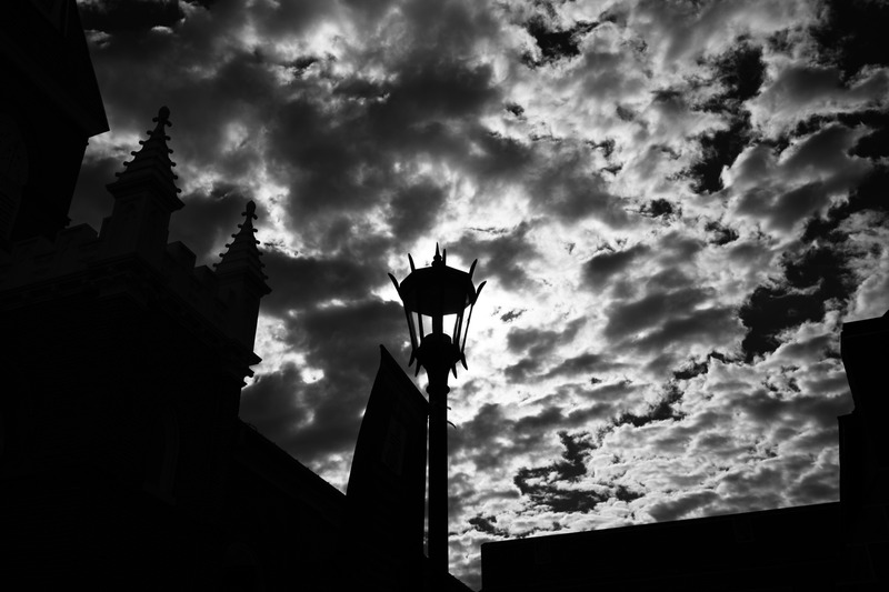 Silhouetted Serenity