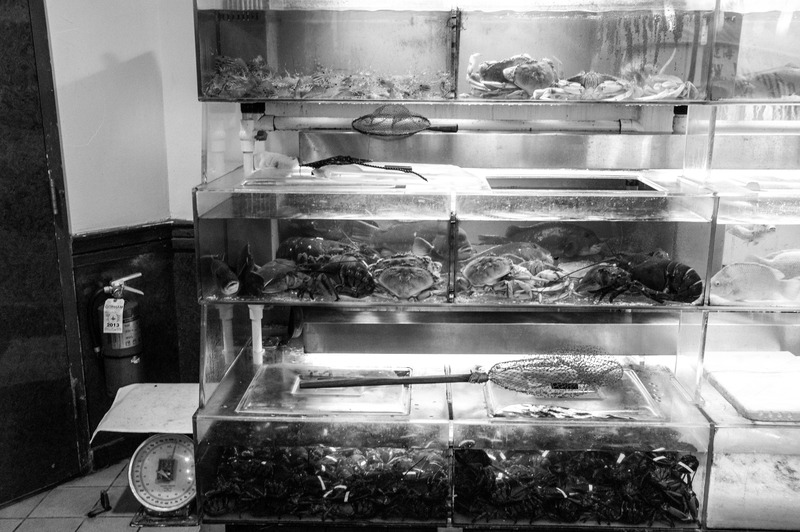 Aquatic Display in Monochrome