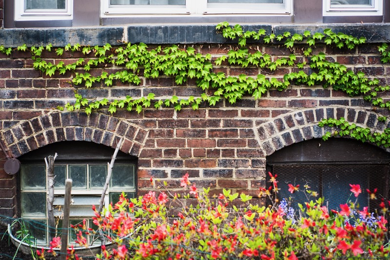 Nature Embracing Architecture