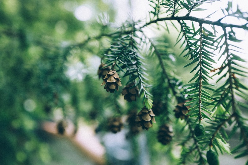 Nature's Subtle Details