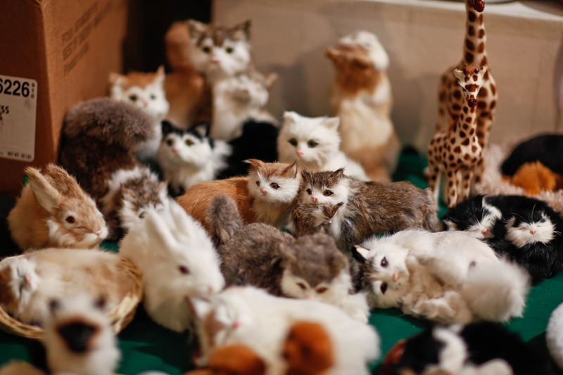 Whimsical Menagerie of Plush Toys