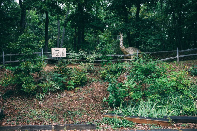 Whimsical Dinosaur Encounter