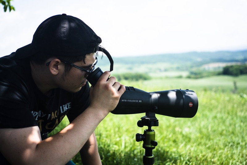 In Search of Discovery