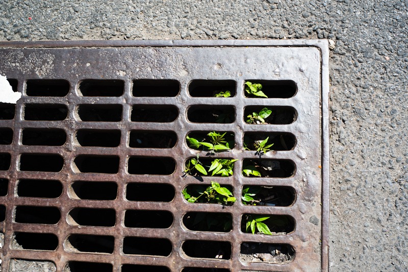Life Through the Grate