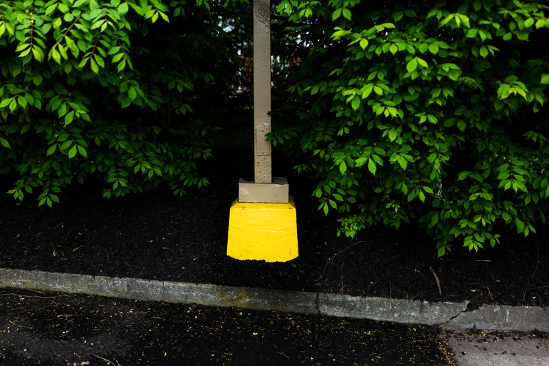 Surreal Contrast in Nature