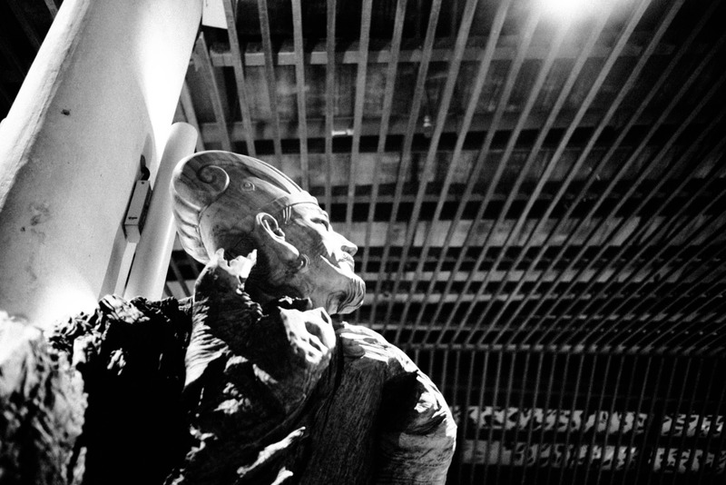 Silent Watcher in Shadows