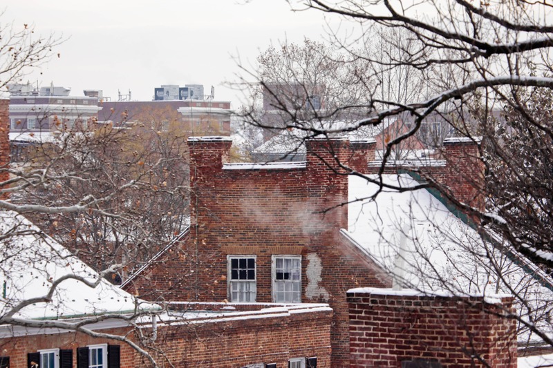 Winter's Whisper in the City