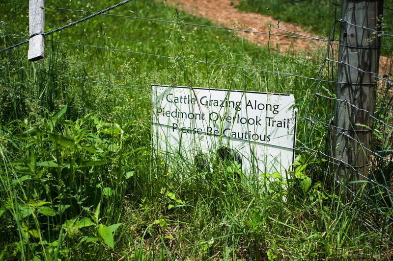 Caution on the Trail