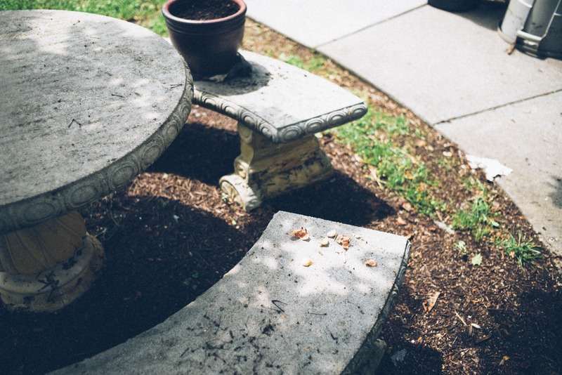 Quiet Garden Retreat