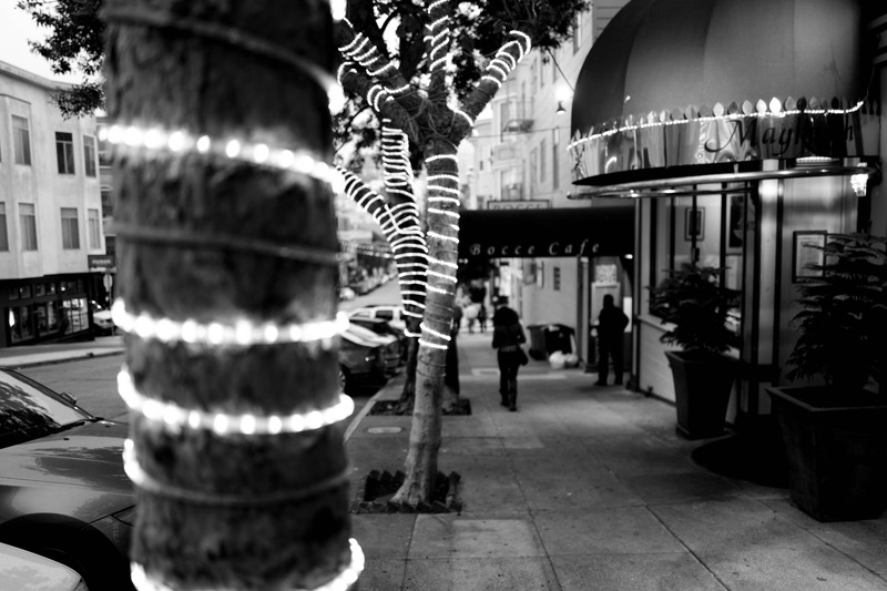 Illuminated Evening Stroll