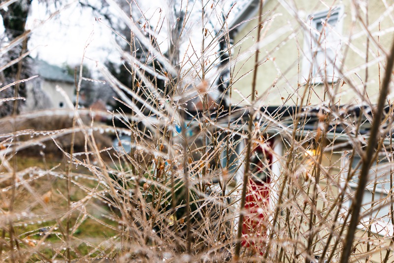 Winter's Fragile Web