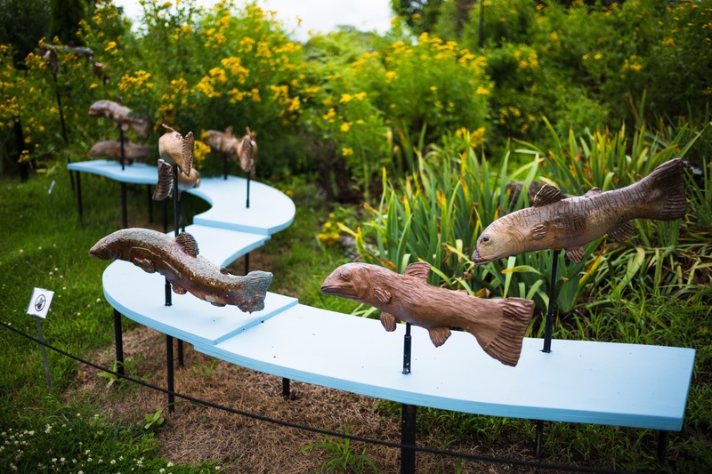 Whimsical Fish Pathway