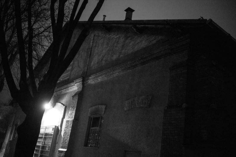 Whispers of the Night