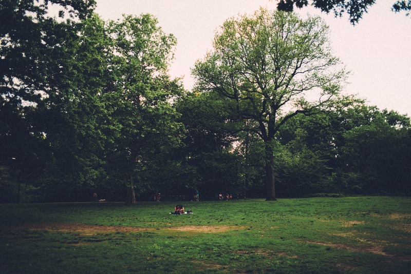 Tranquil Park Afternoon
