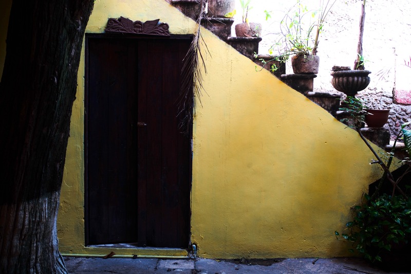 Whispers of an Abandoned Path