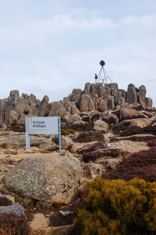 The Pinnacle's Majesty